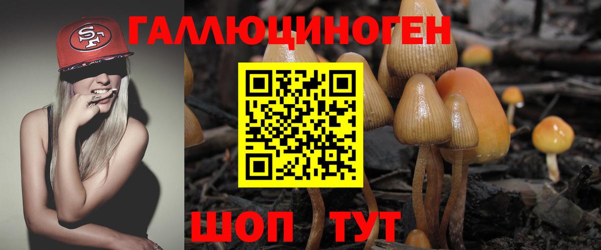 Лениногорск  Псилоцибиновые грибы мухоморы  Вход с VPN 